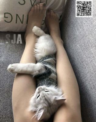 欧美超清手机壁纸_高清在线观看视频